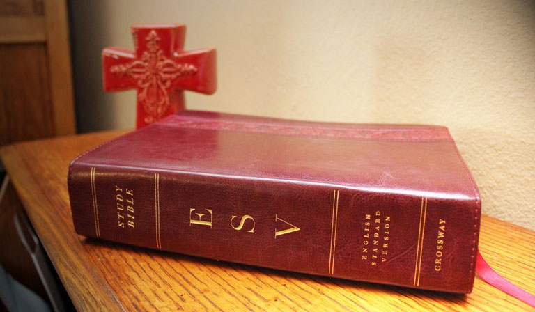 English Standard Version (ESV)